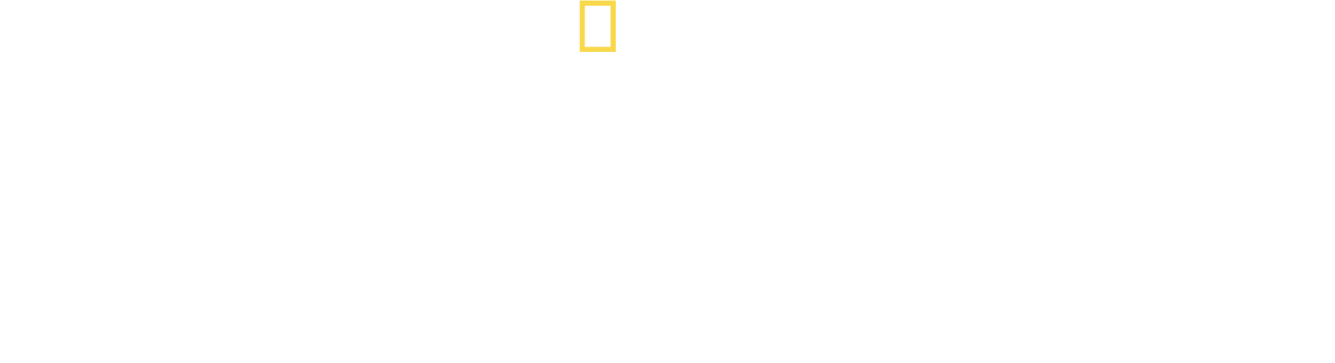 Žraloci zblízka s Bertiem Gregorym