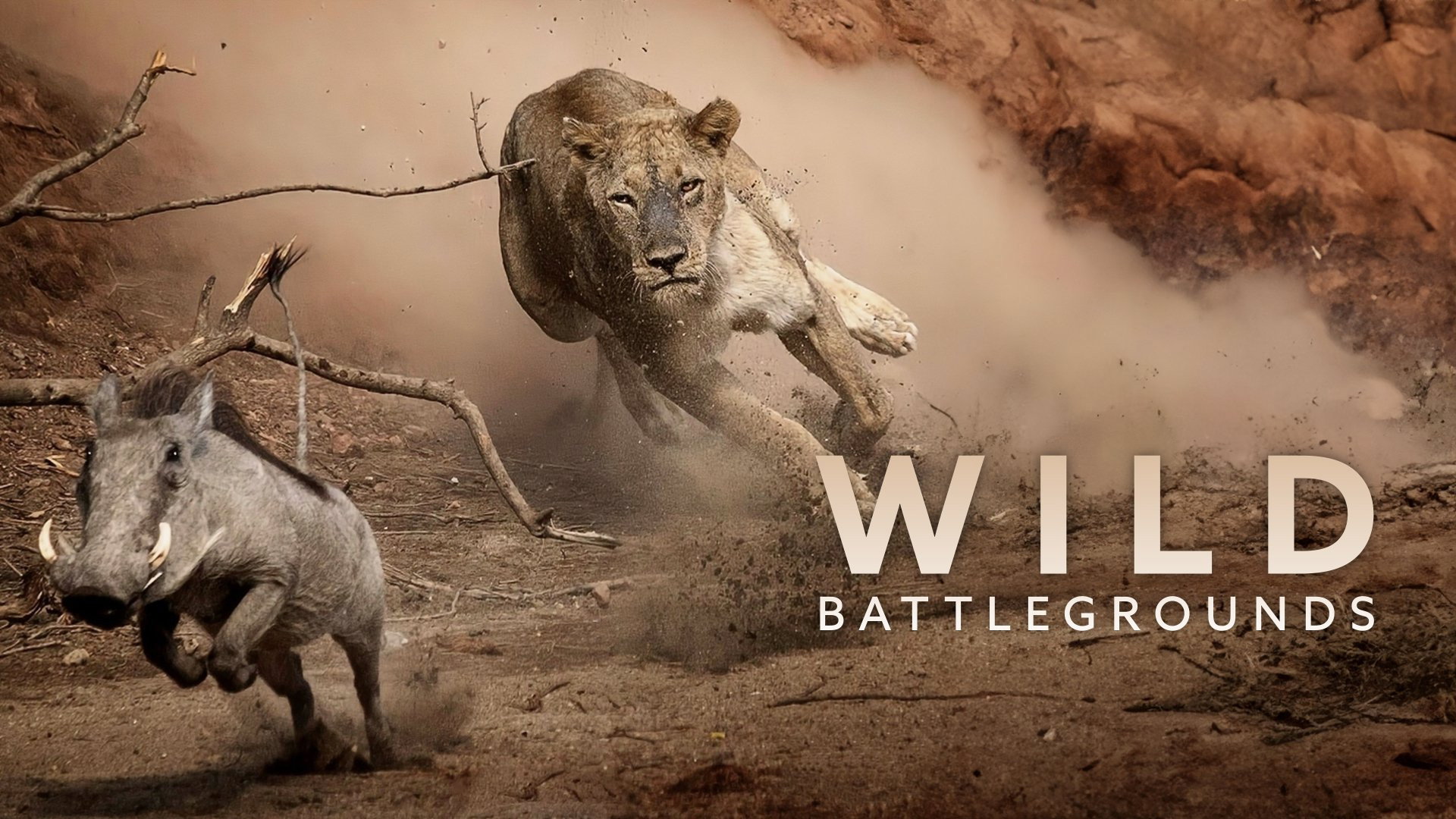 Wild Battleground backdrop