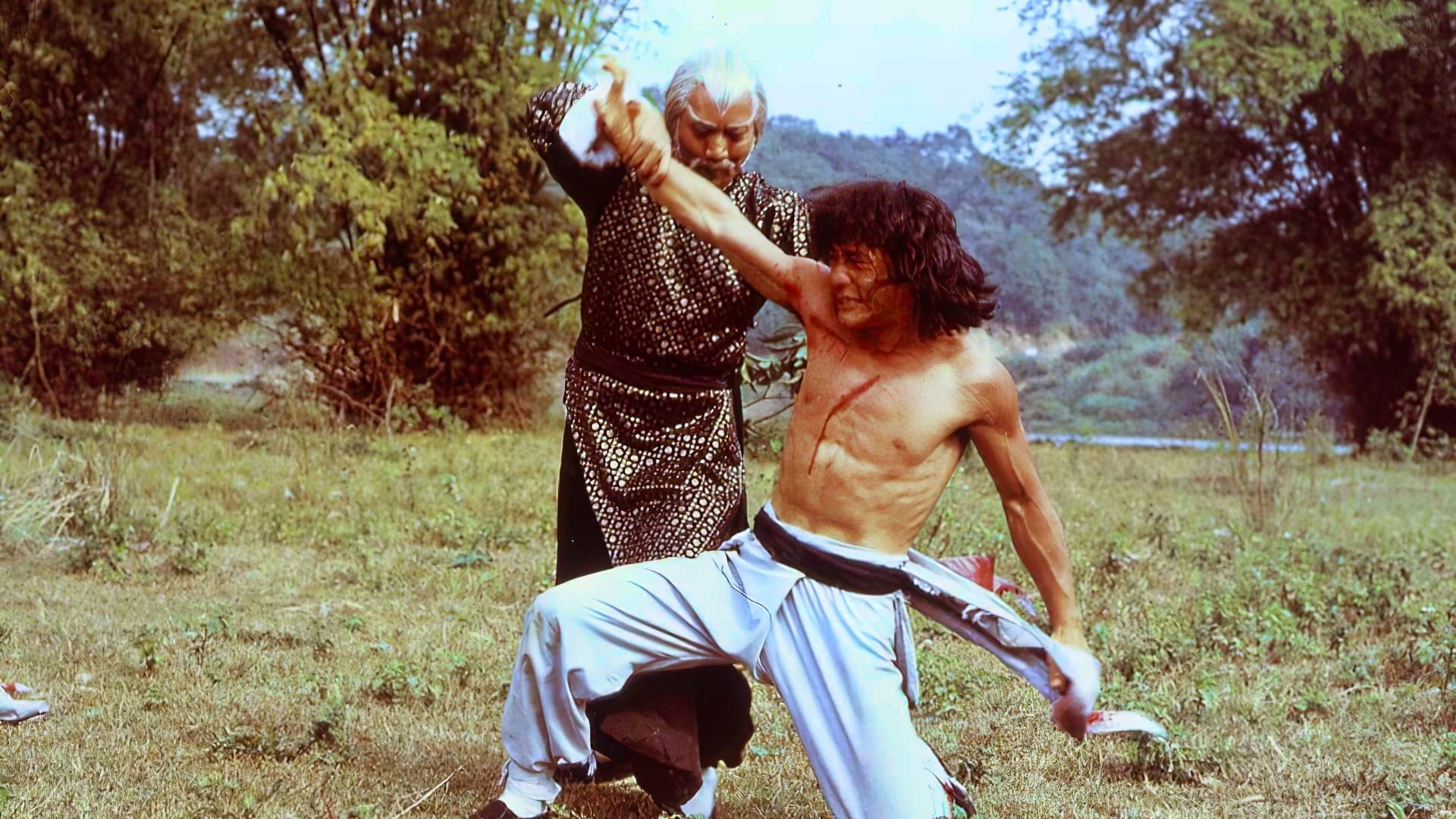笑拳怪招 (1979)