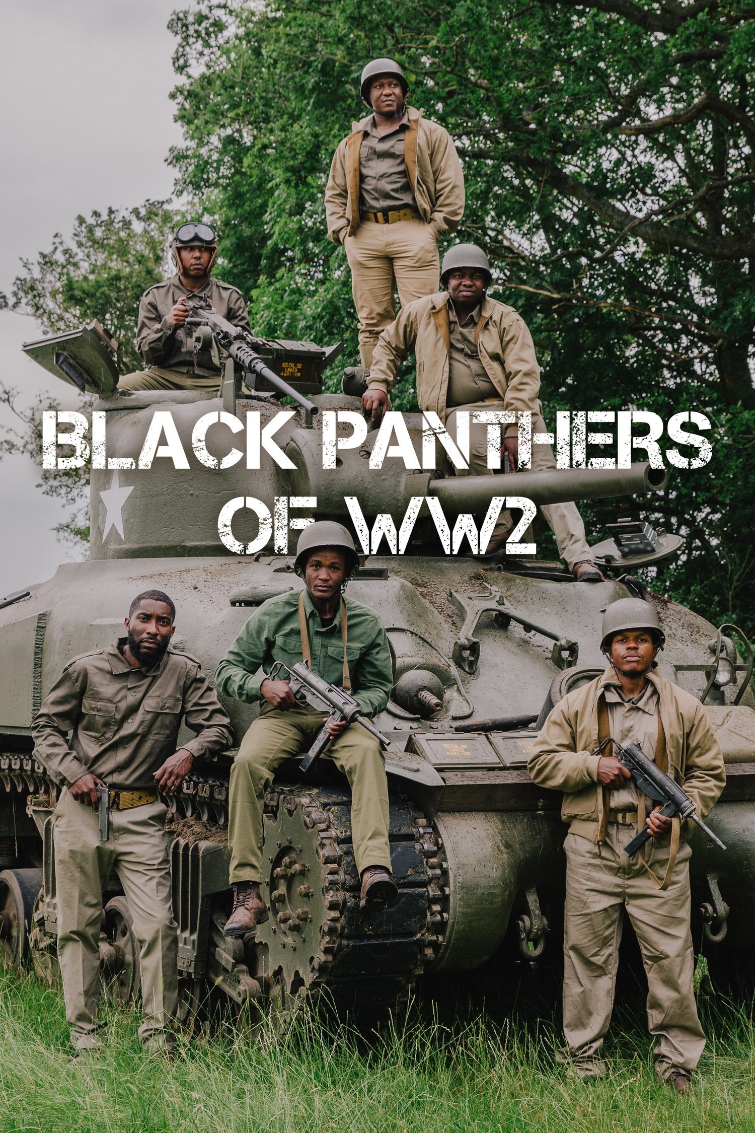 Black Panthers of WWII