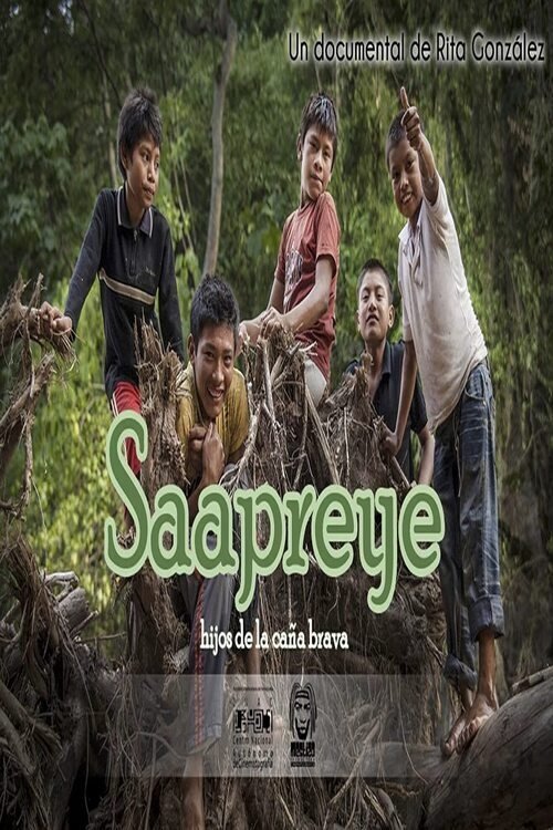 Content cover