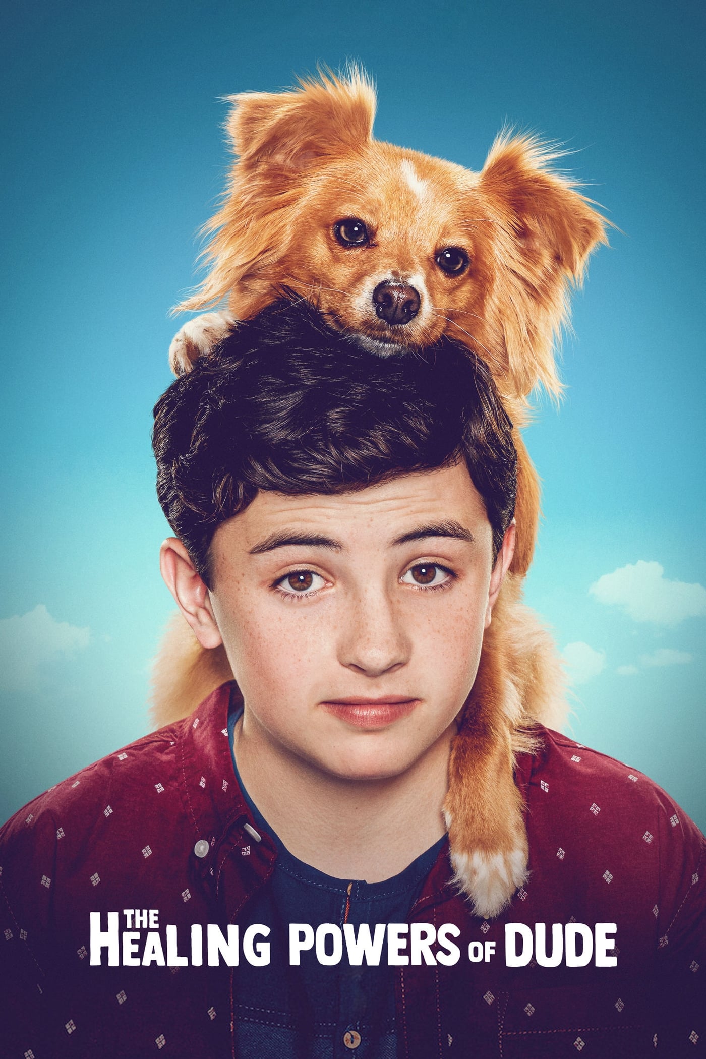 The Healing Powers of Dude TV Shows About Dog