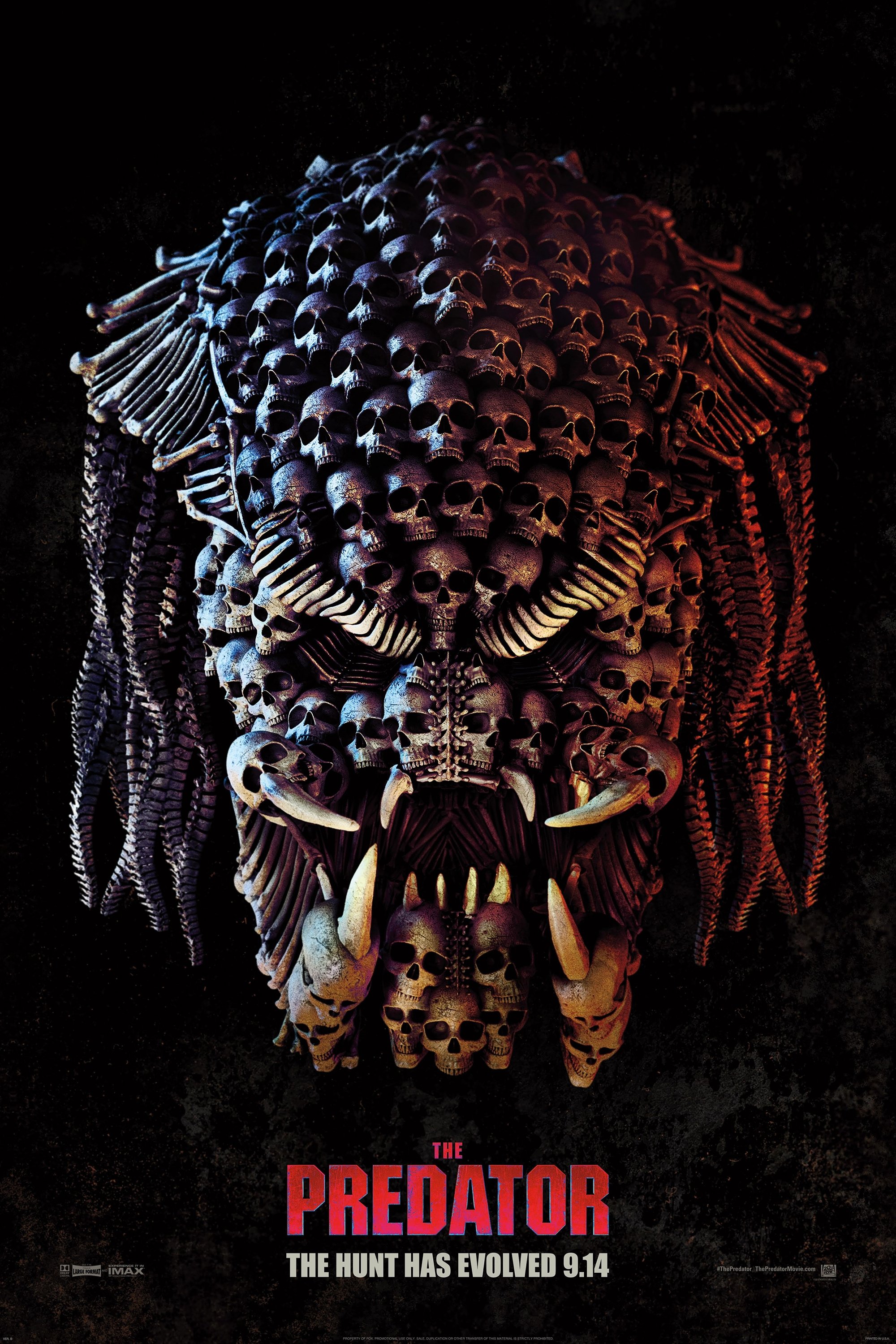 The Predator