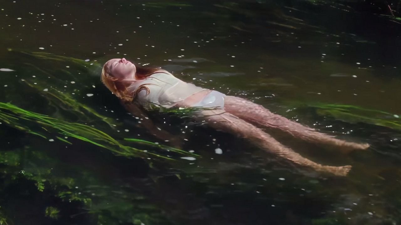 Virgin Woods (2018)