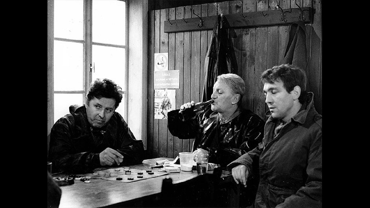 Evil Night (1973)