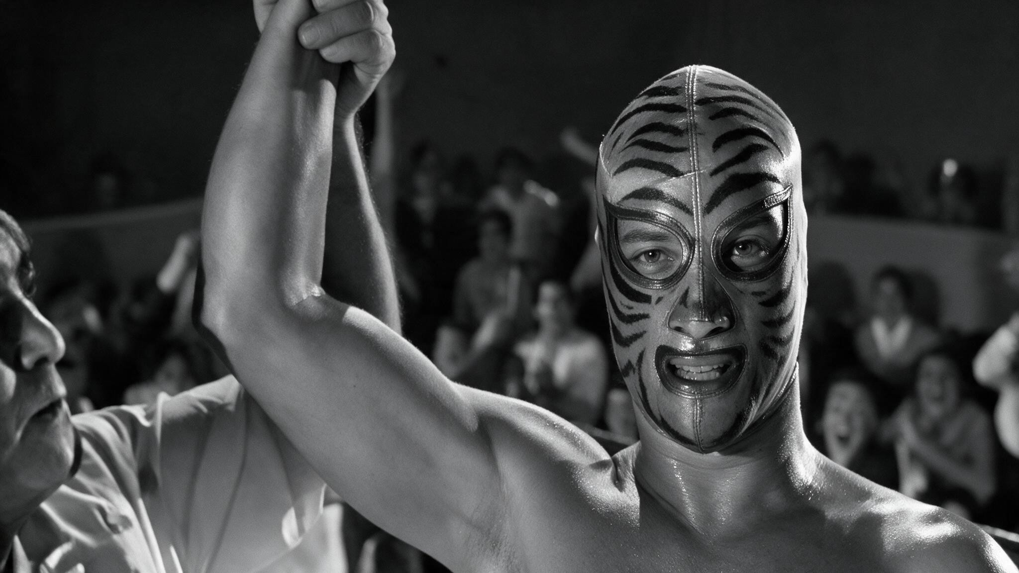 Los tigres del ring