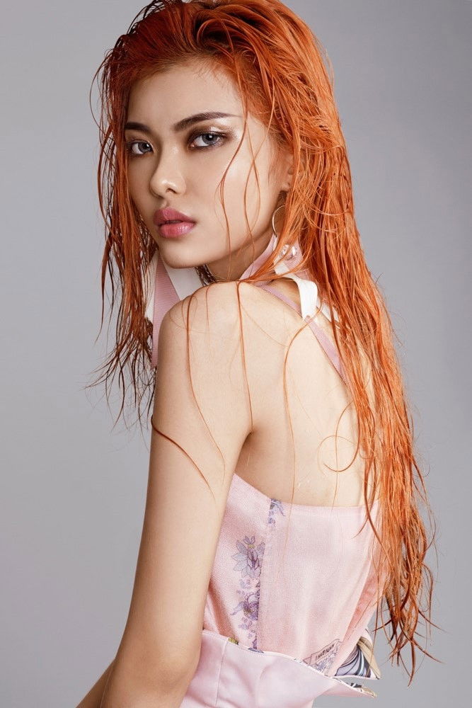 et billede af Thiếu Lan