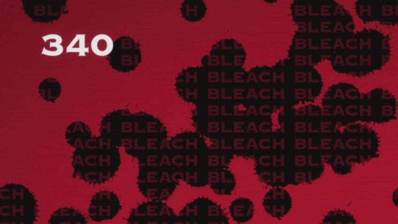 Bleach Staffel 1 :Folge 340 