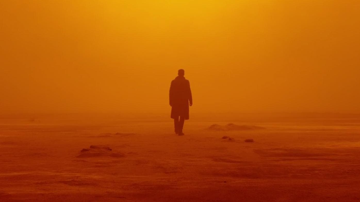 Blade Runner 2049 (2017)