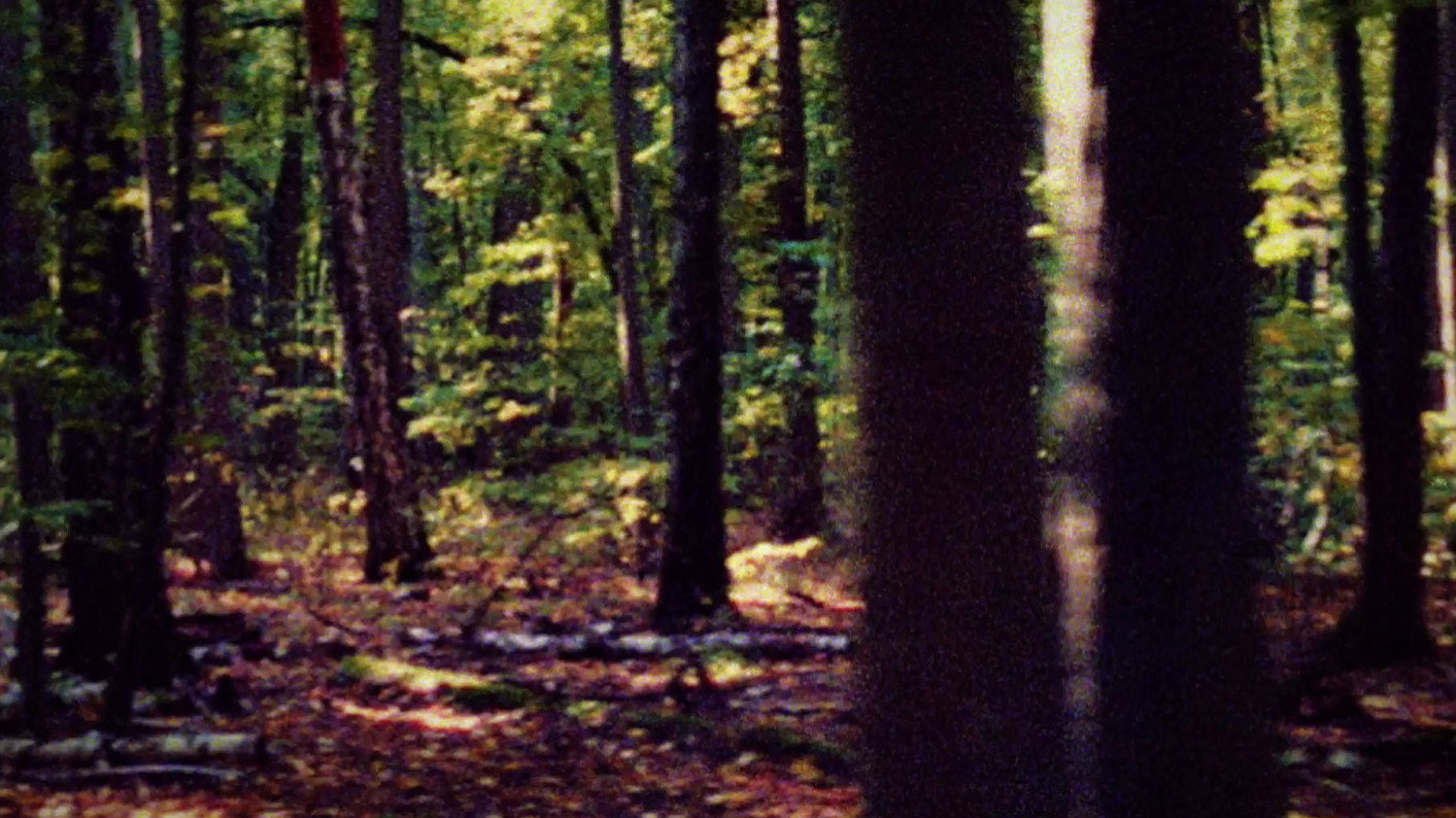 Scenery 2026 movie scene