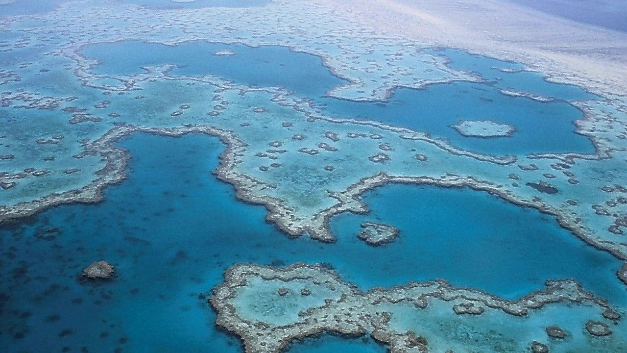 Les défis de la Grande Barrière de corail (2022)