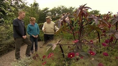 The Beechgrove Garden - Épisode 17