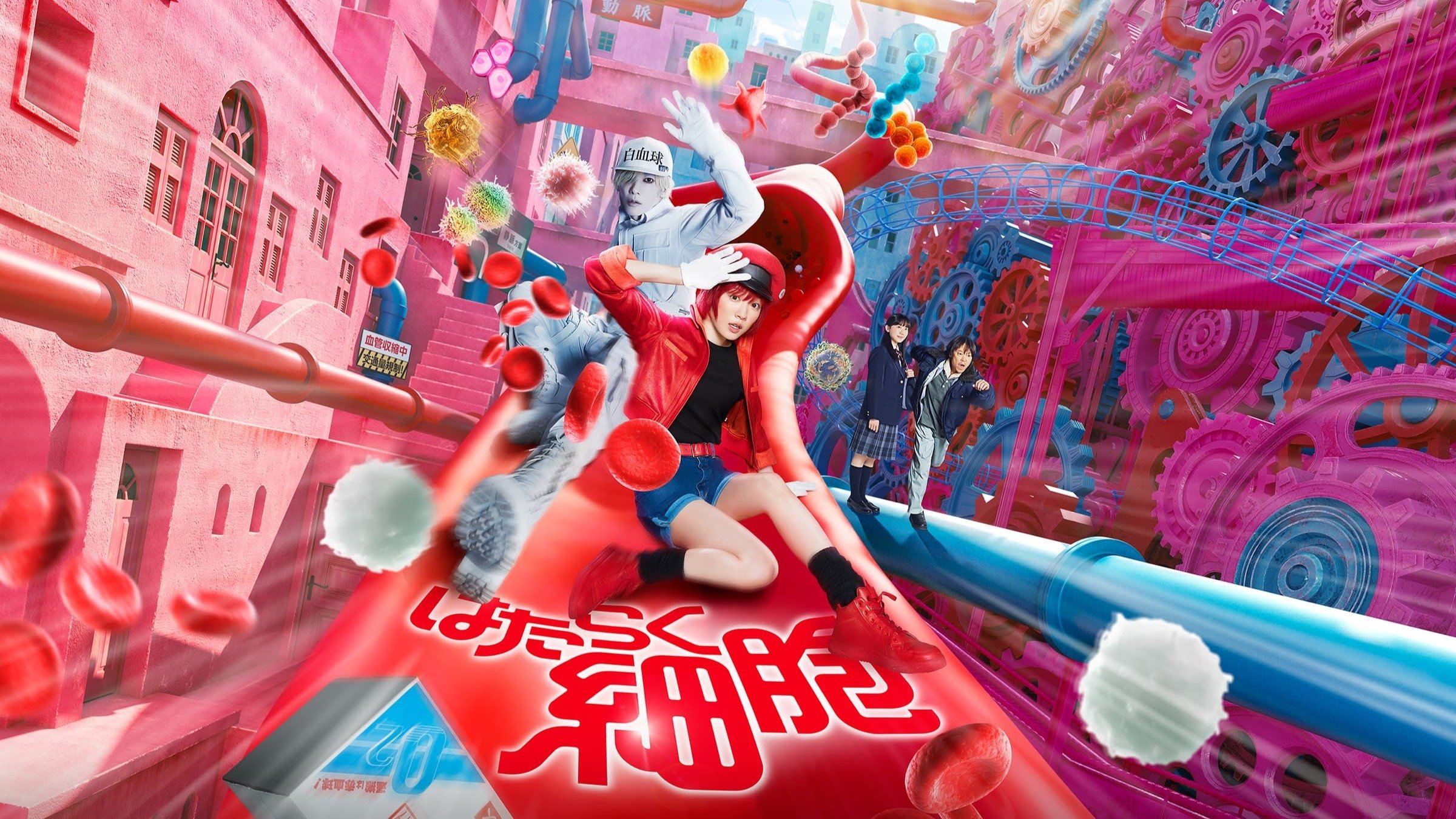 Cells at Work! (2024)