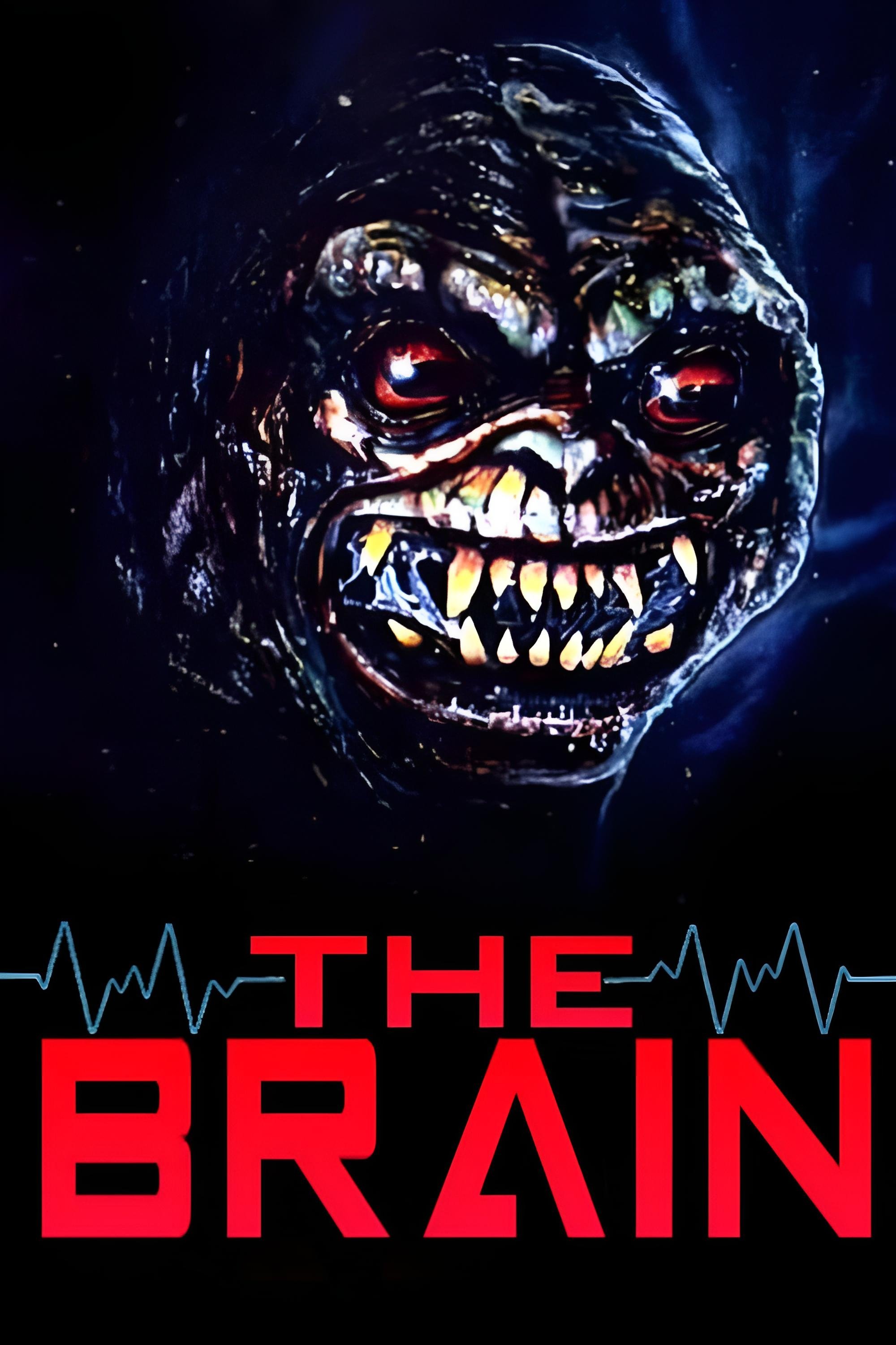 The Brain