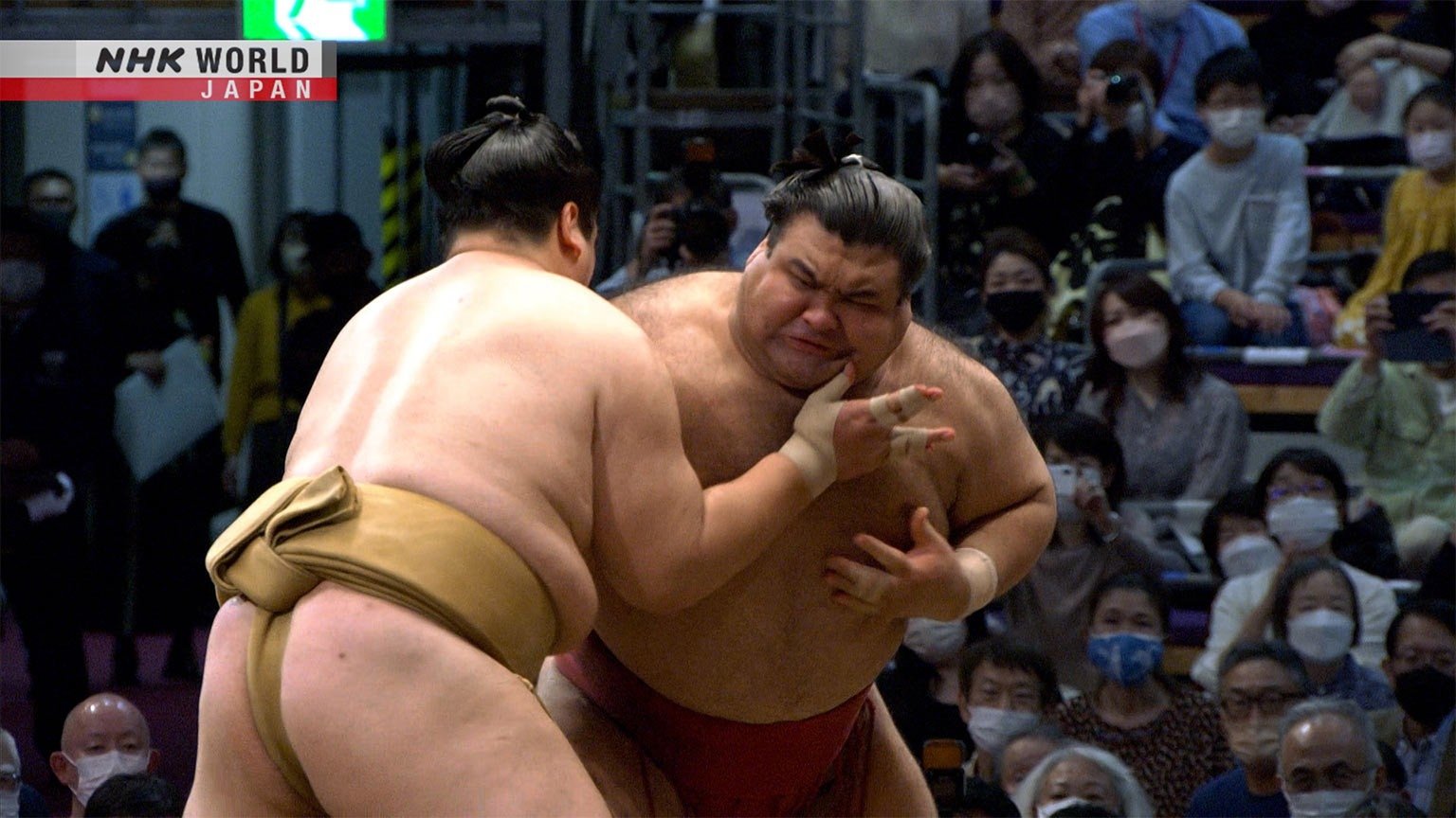 GRAND SUMO Highlights Season 14 :Episode 14  Day 14