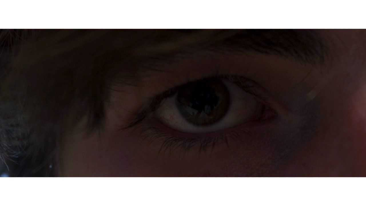 Why, Human? (2021)