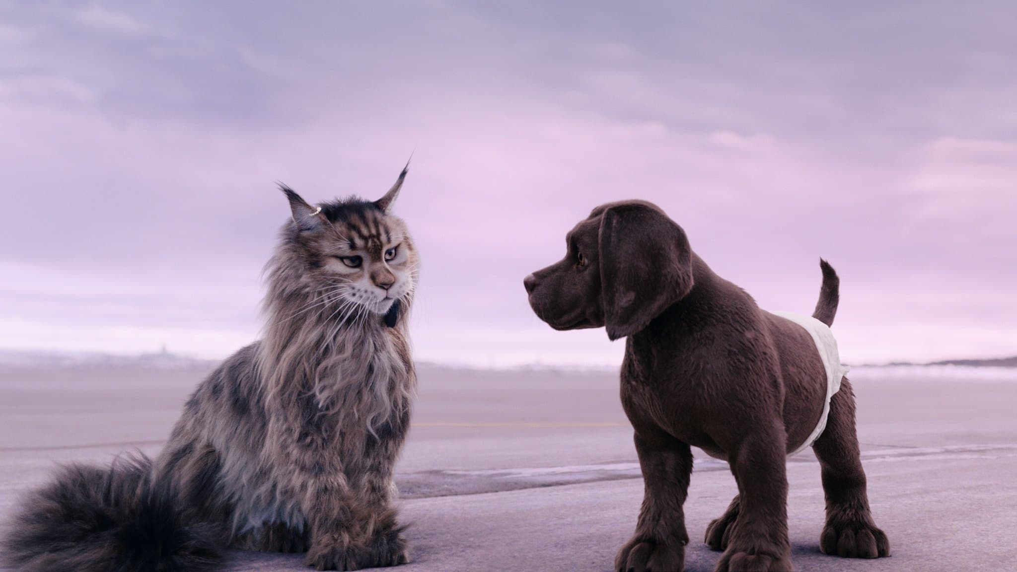 Chien et Chat (2024)