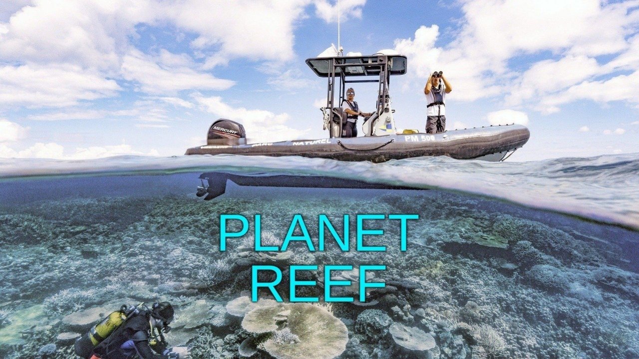 Planet Reef poster