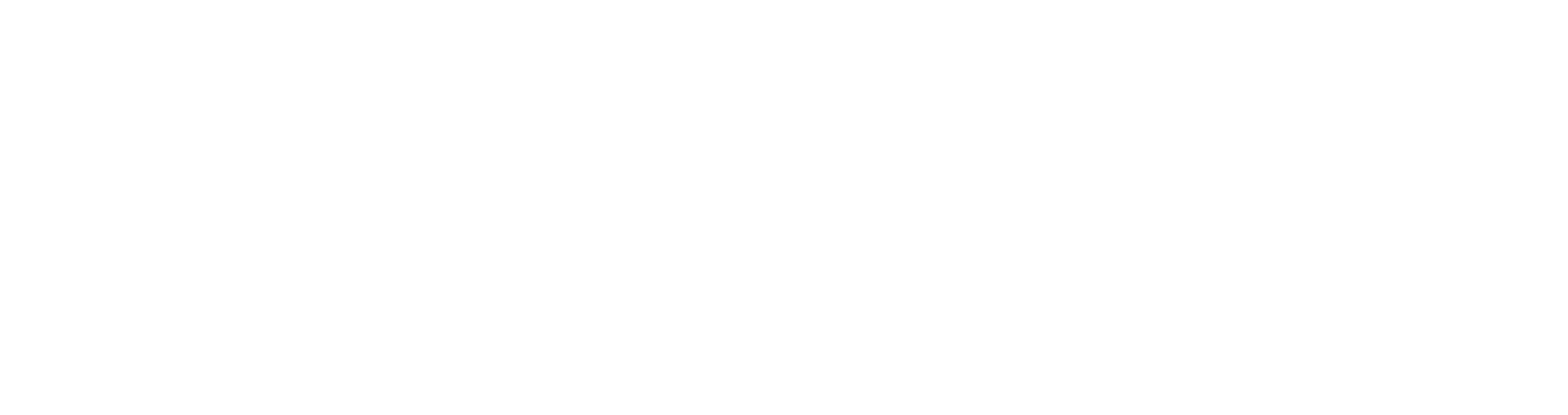 Ever Night