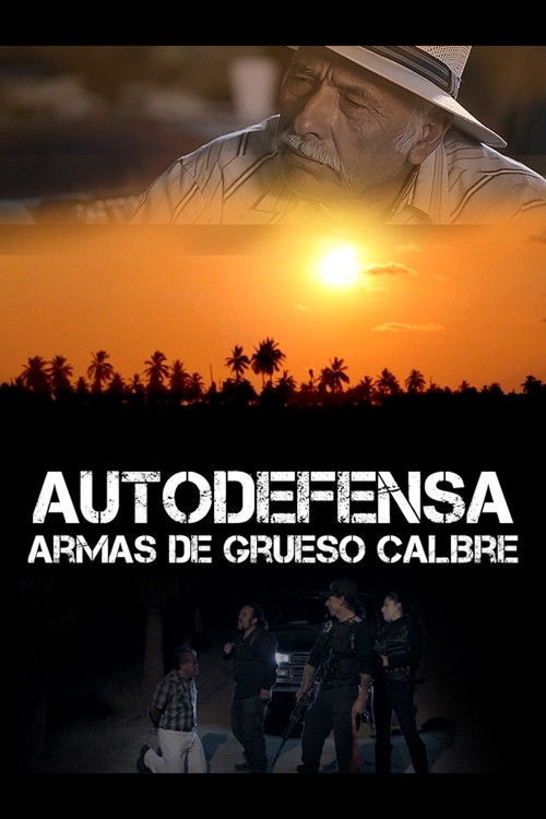 Autodefensa: Armas de Grueso Calibre Poster