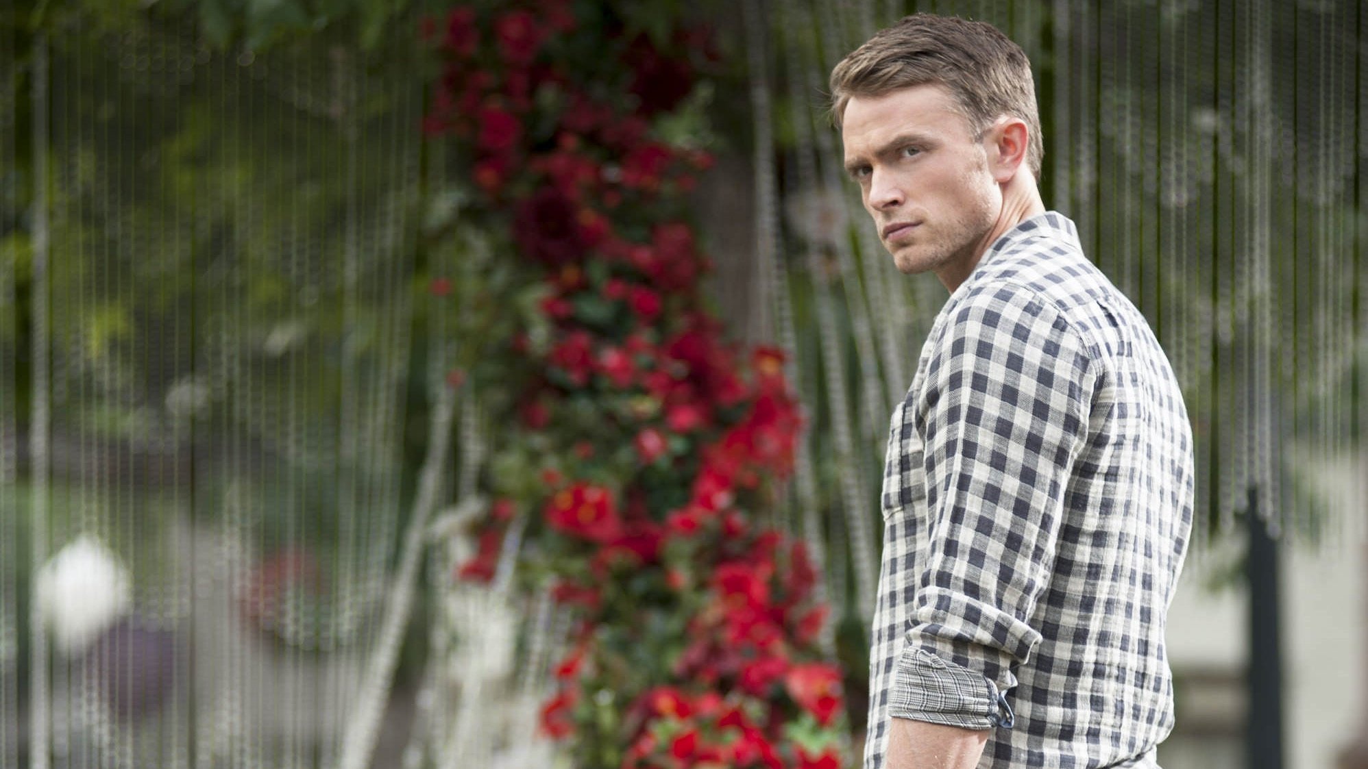 Hart of Dixie