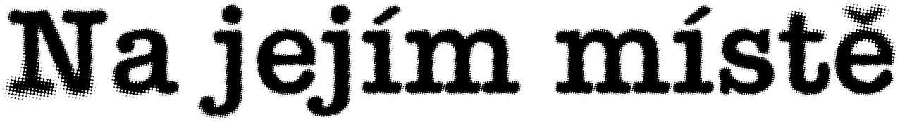 Na jejím místě