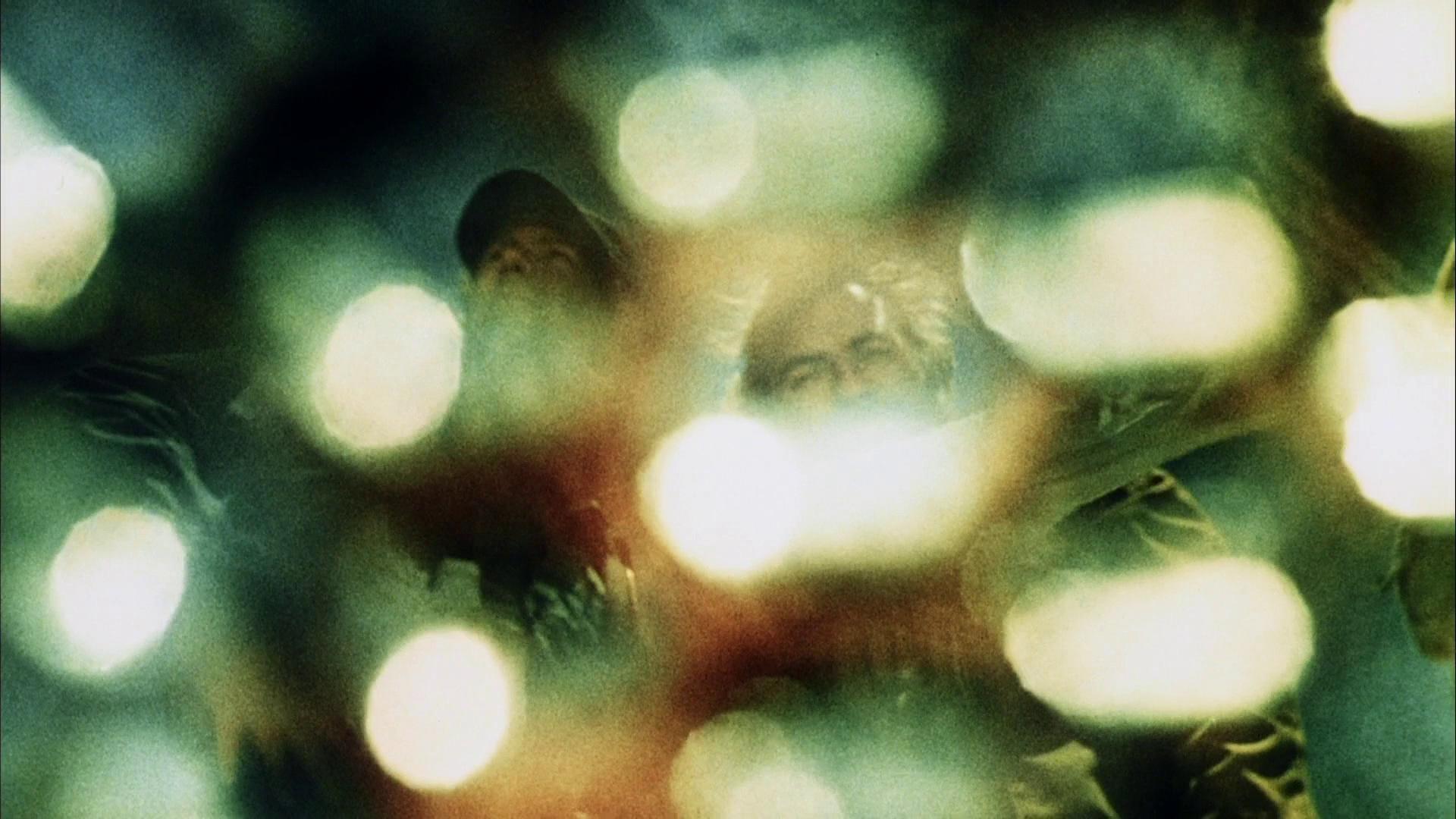 Phase IV (1974)