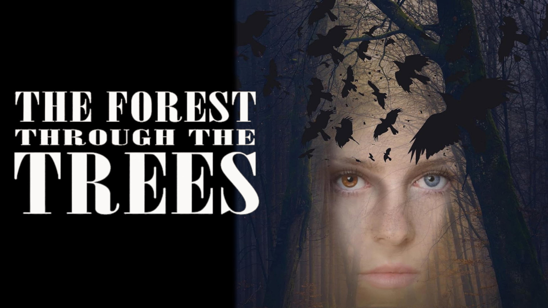 The Forest Through the Trees