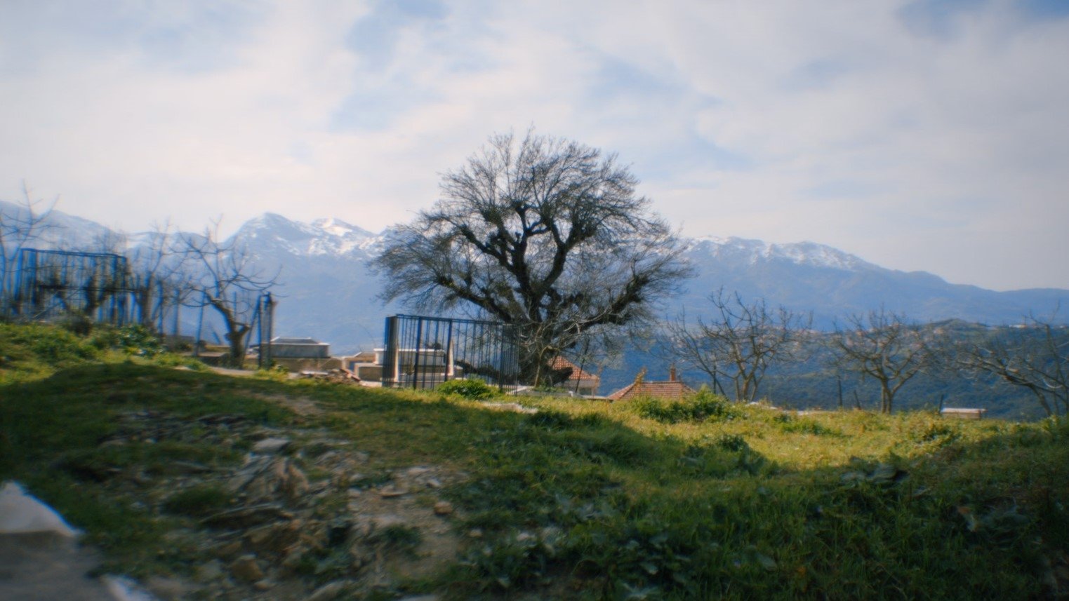 Mariner of the Mountains (2023)