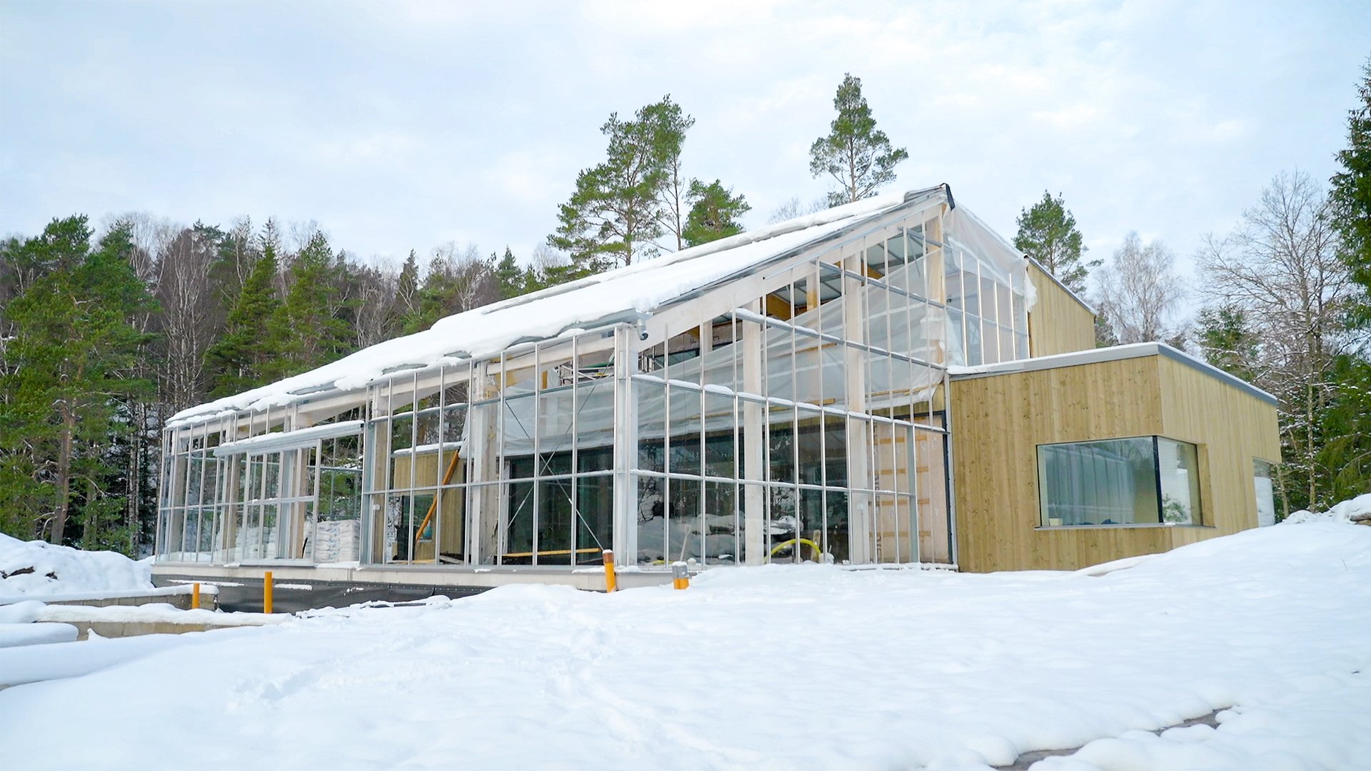 Husdrömmar