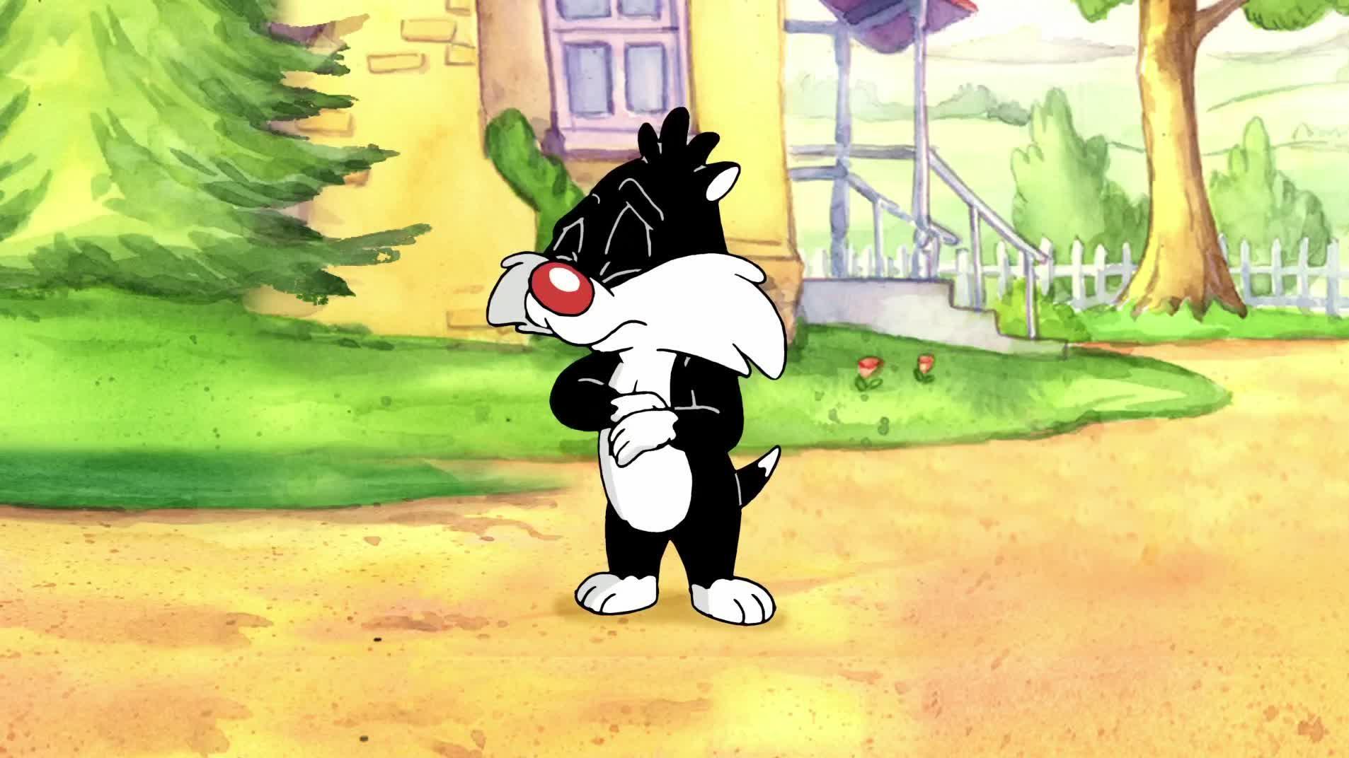 Baby Looney Tunes
