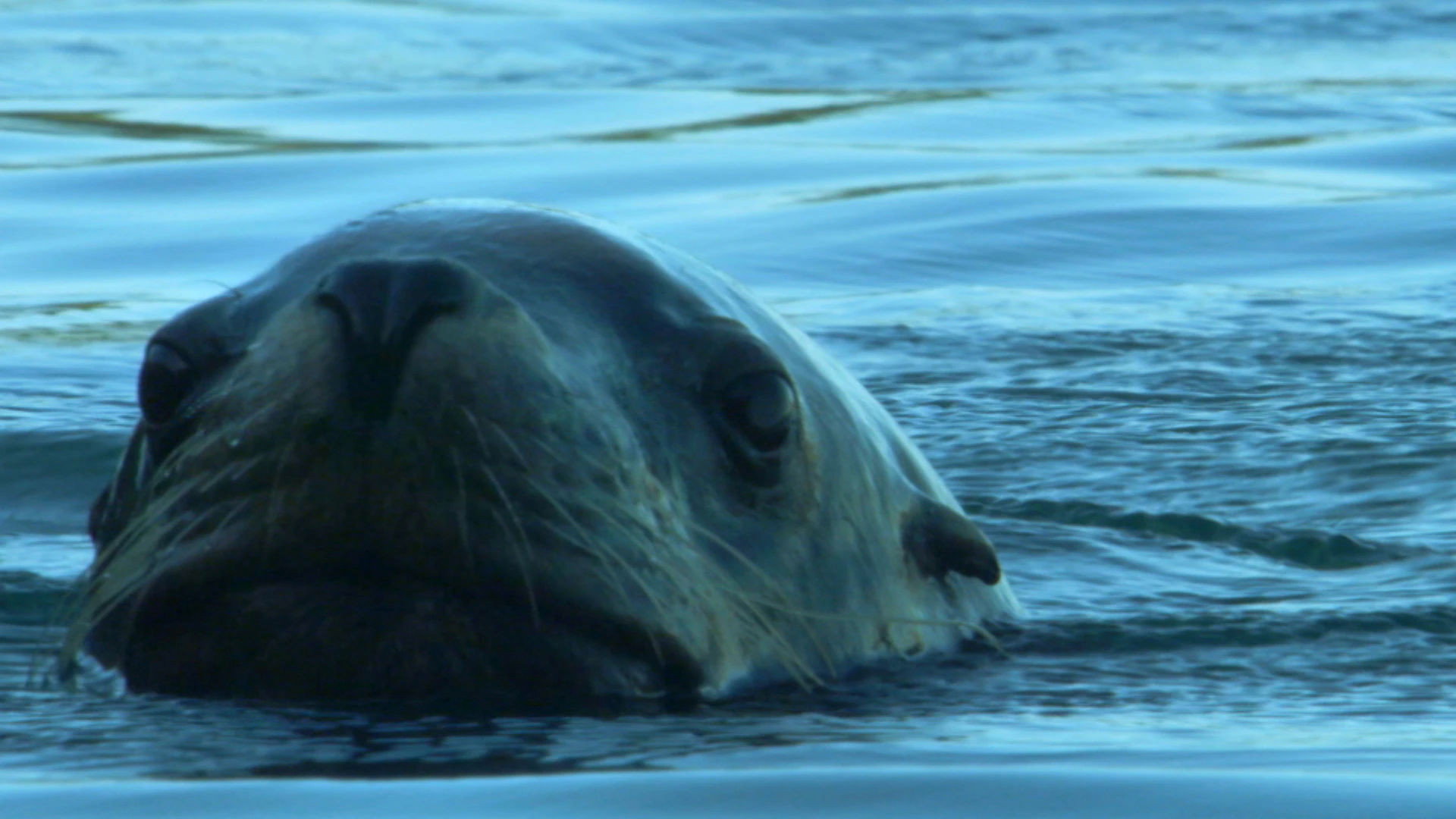 Earth Odyssey with Dylan Dreyer S02E18 backdrop