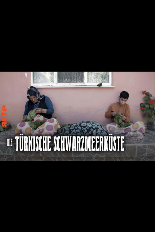 Die türkische Schwarzmeerküste