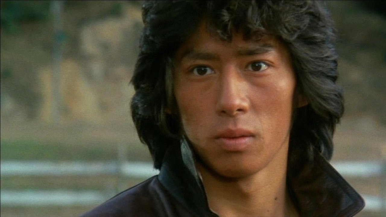 The Blazing Valiant (1981)