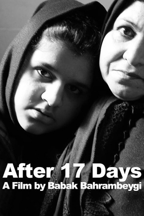 Poster for After 17 Days