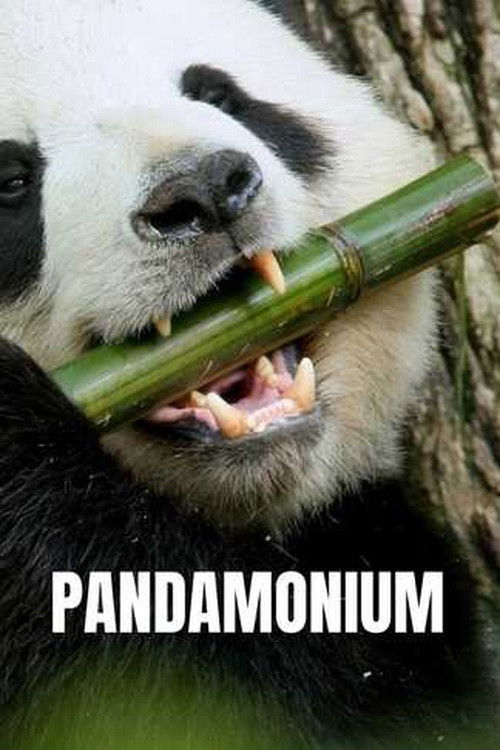 Pandamonium