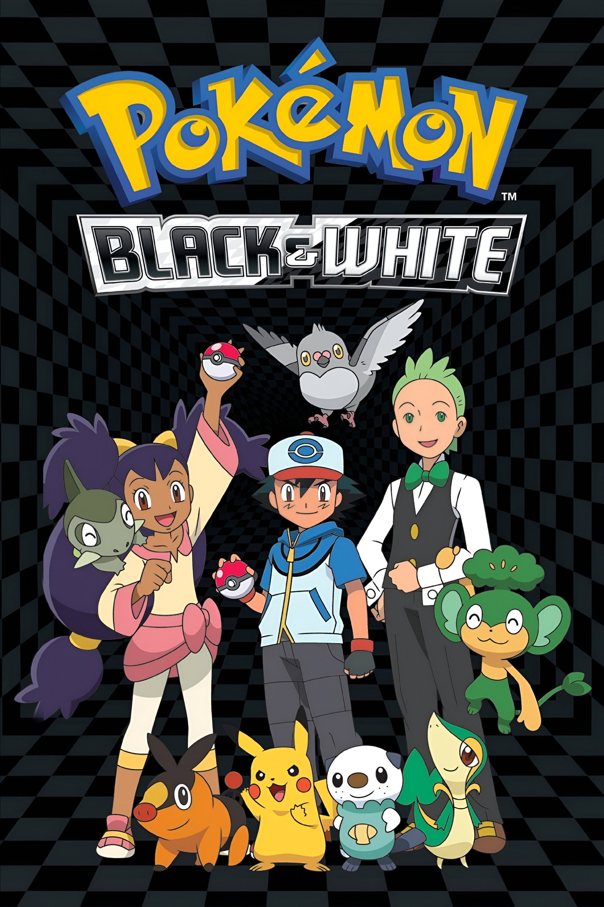 Pokémon the Series: Black & White poster