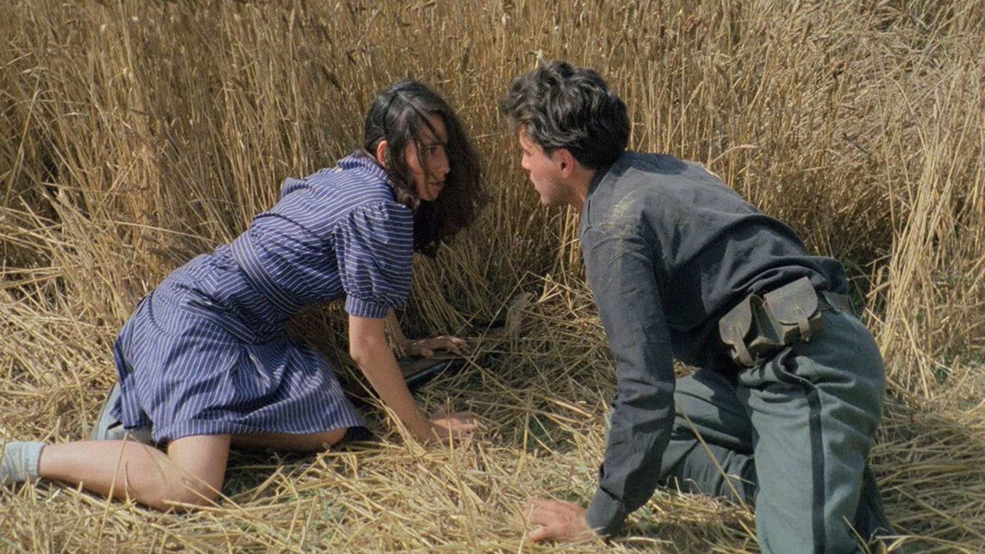 La notte di San Lorenzo (1982)