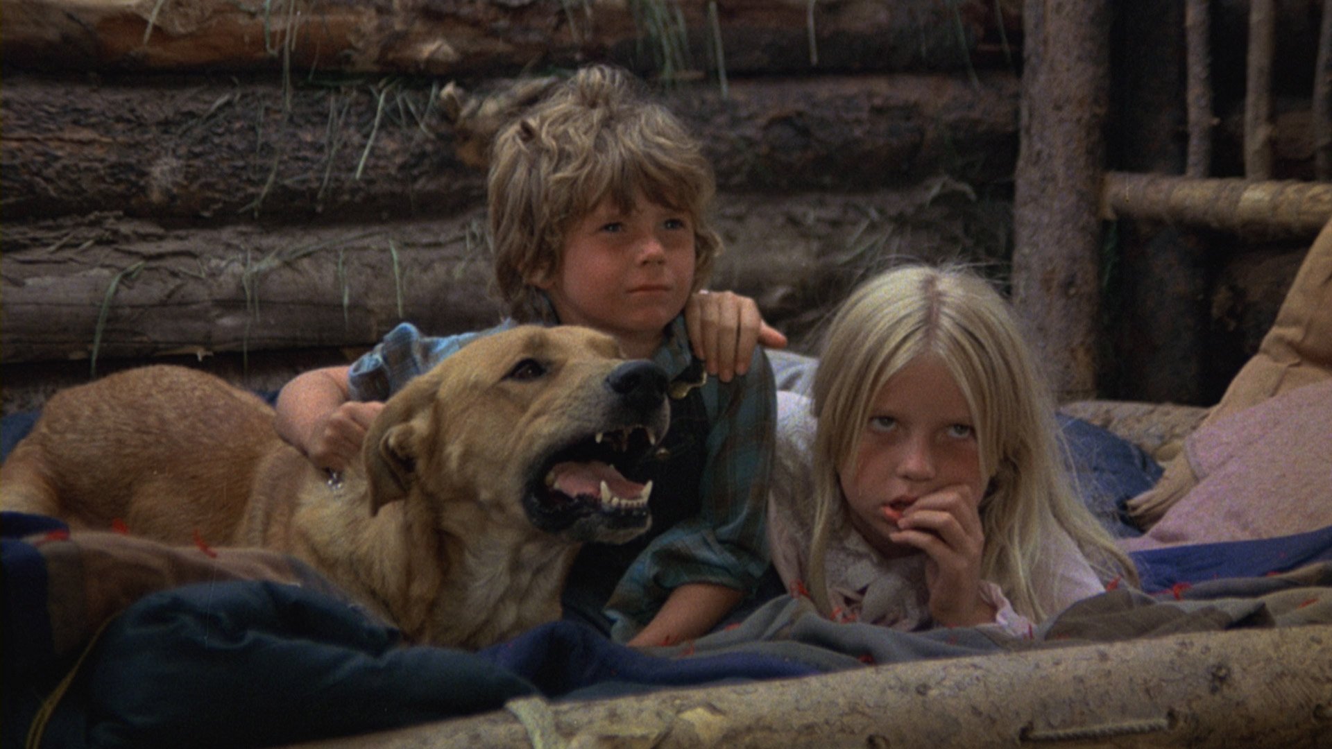 The Adventures of the Wilderness Family (1975)