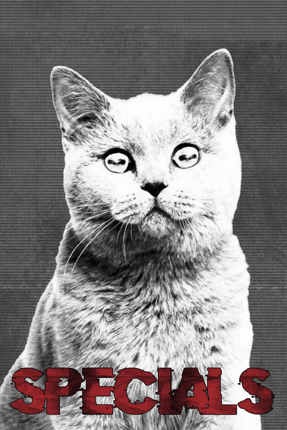 poster season Specials poster season Specials