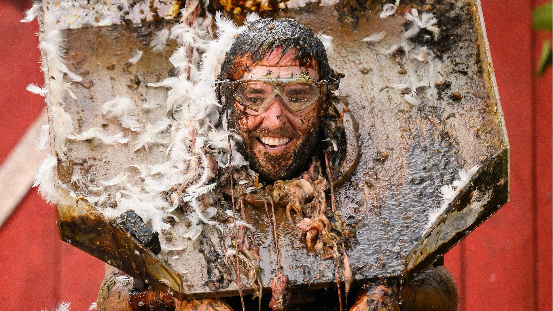 I'm a Celebrity...Get Me Out of Here!