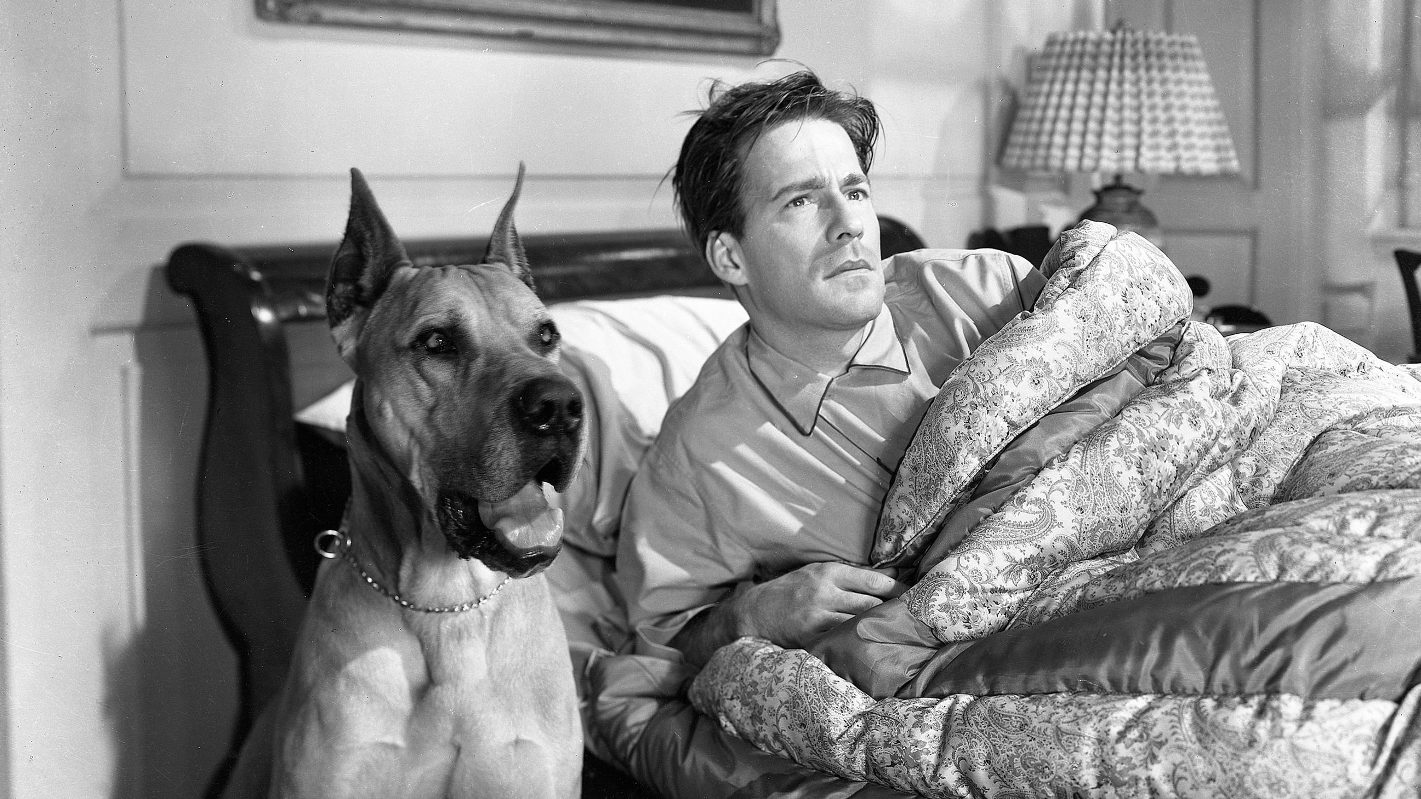Come to the Stable (1949)