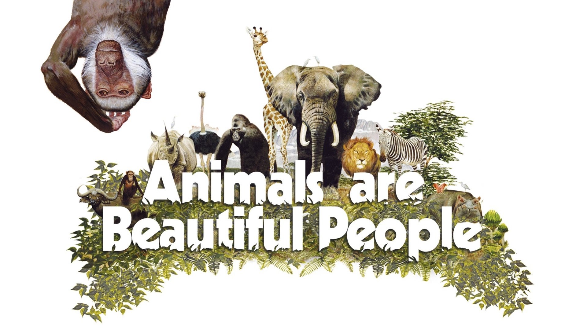 Animals Are Beautiful People