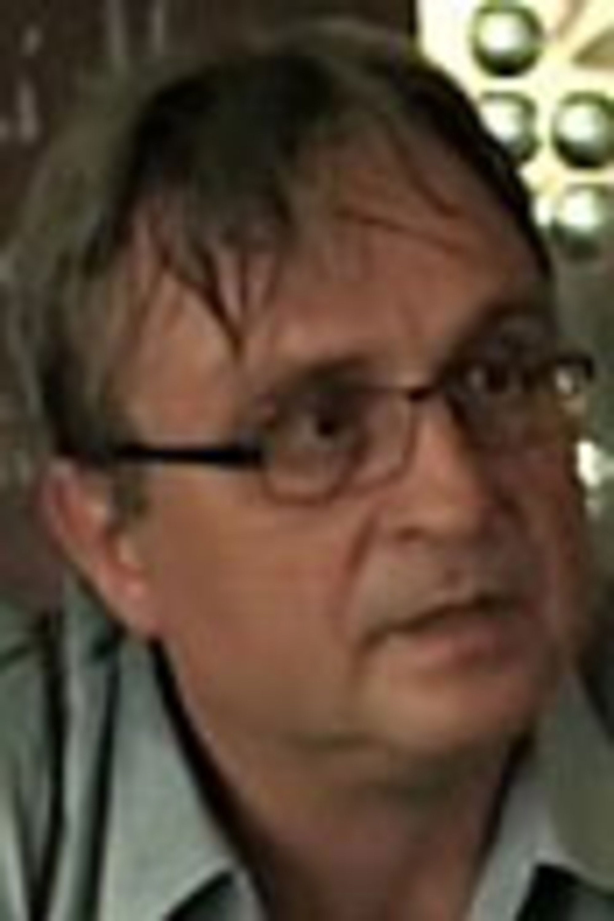 et billede af Pavel Šrom