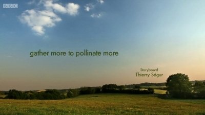 Minuscule - Butiner plus pour polliniser plus