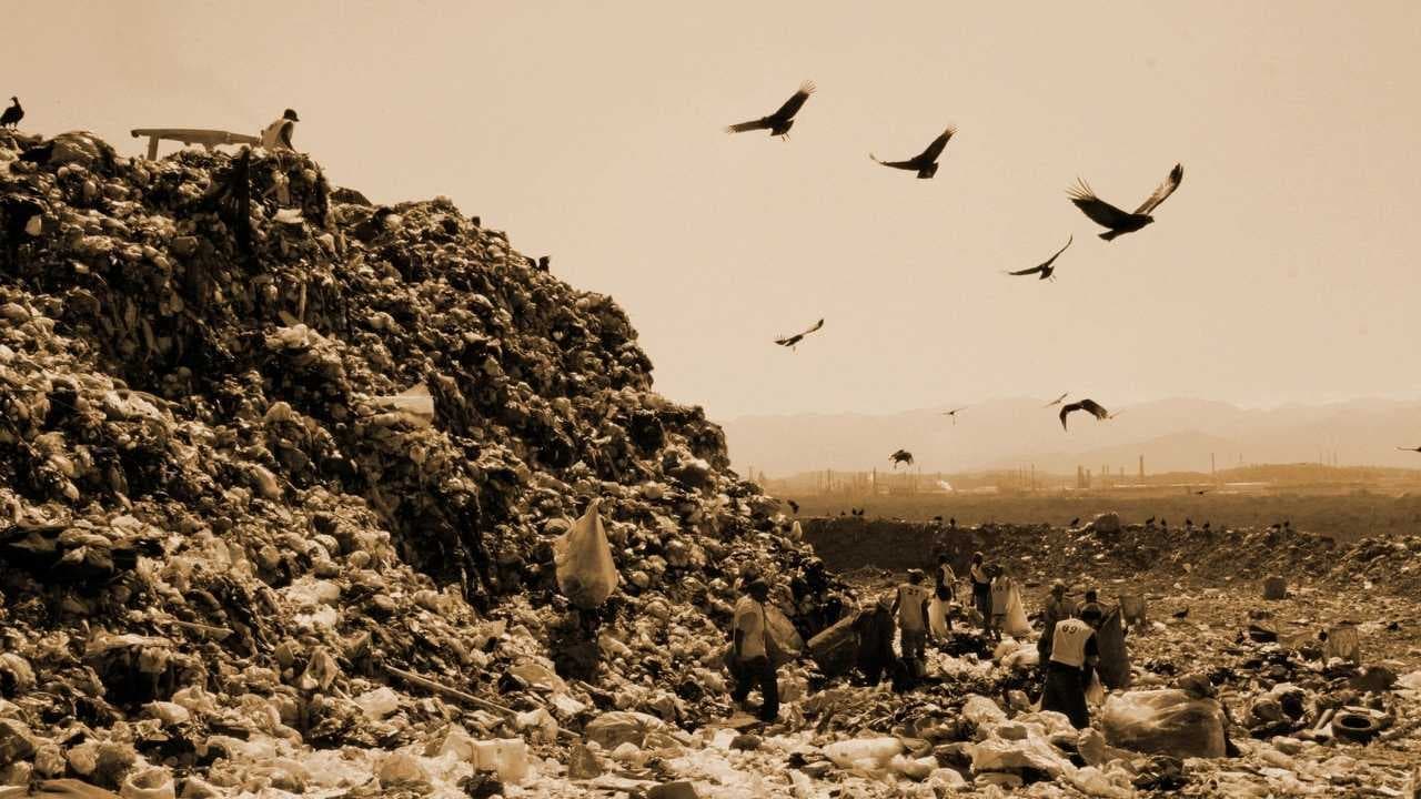 Image du film Waste Land oclcjgdaalet1c8wjfc4b00lskcjpg
