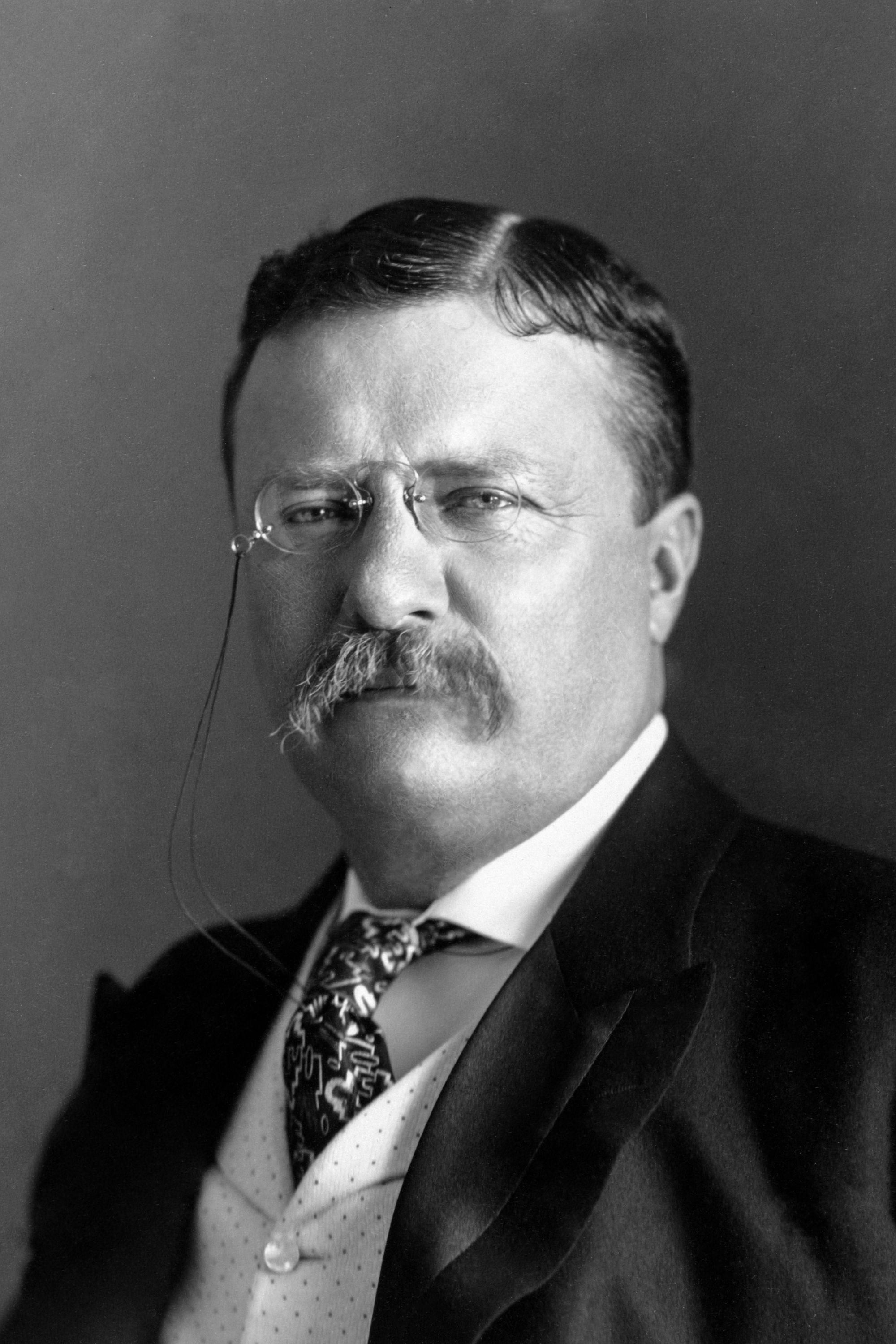 et billede af Theodore Roosevelt