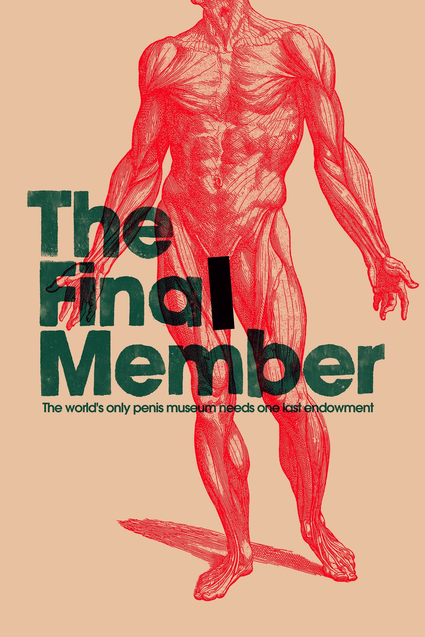 The Final Member