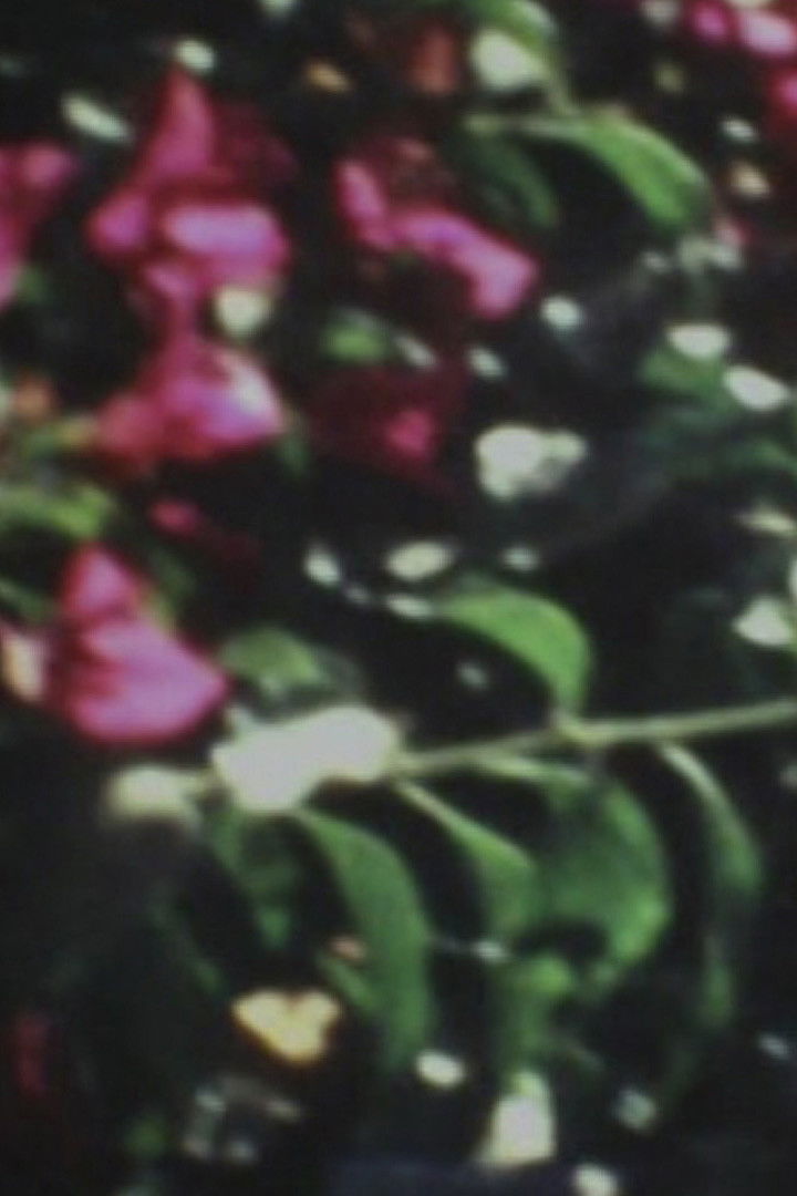 Poster for Diaspora Ethiopia