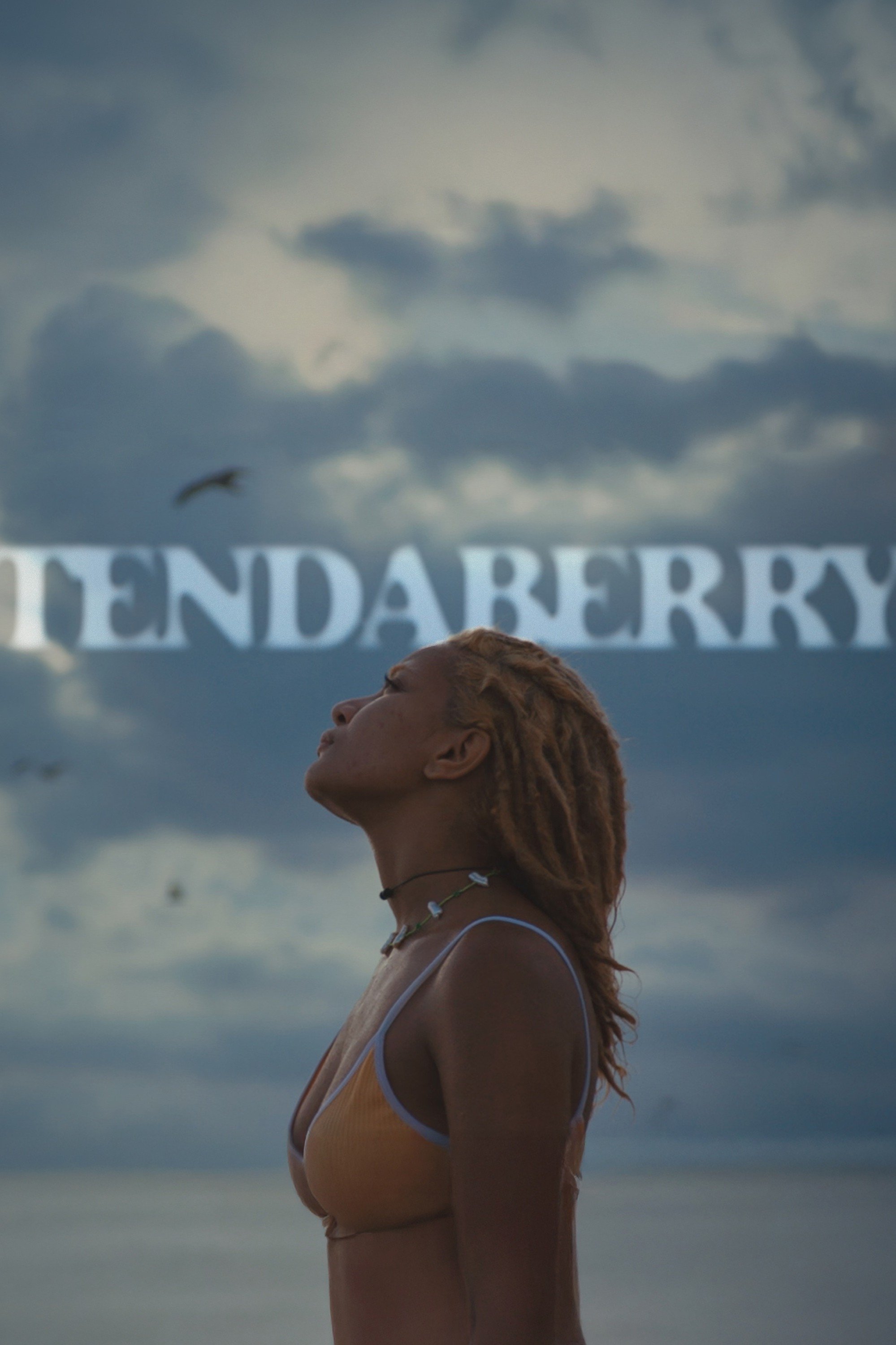 Tendaberry
